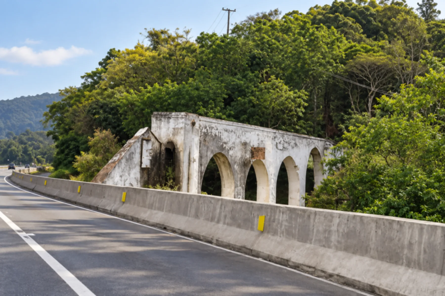 Biguaçu