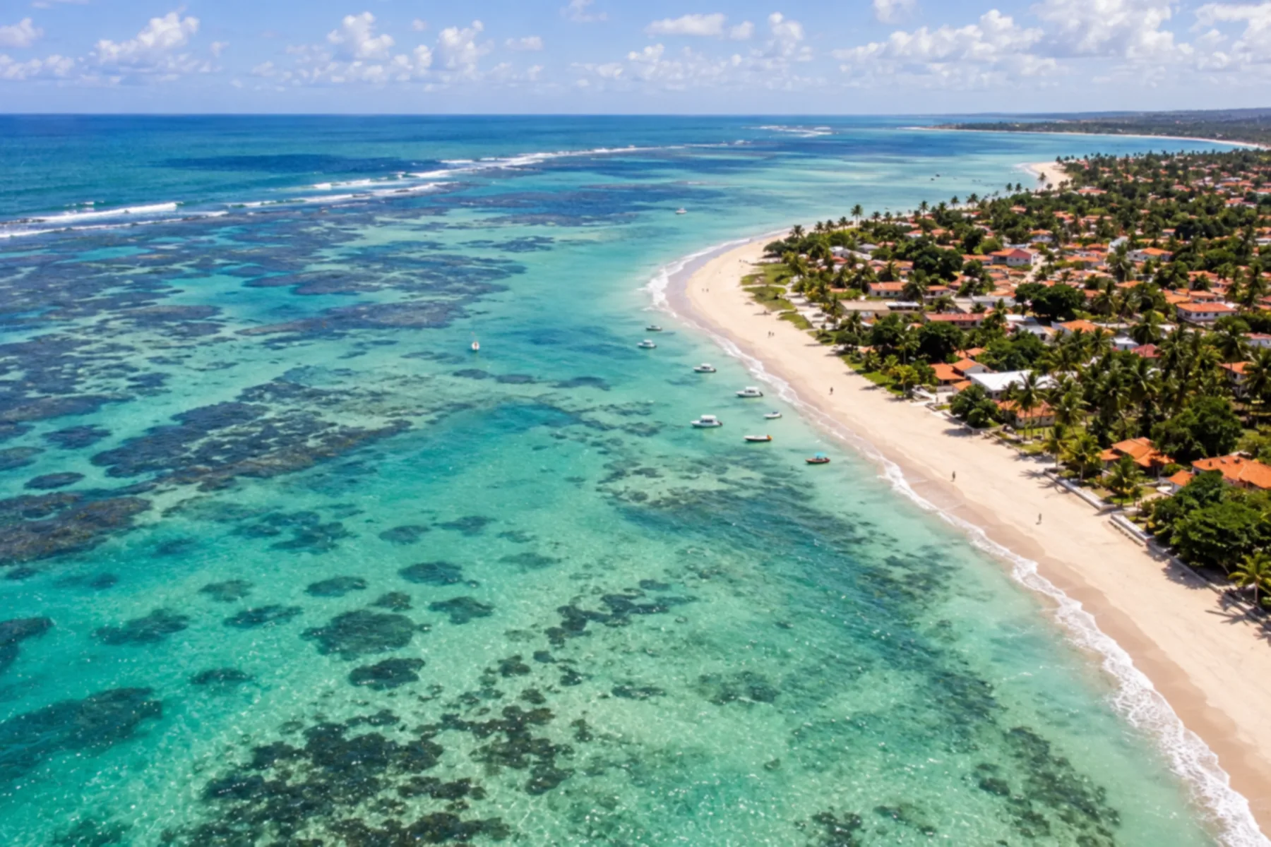 Tamandaré