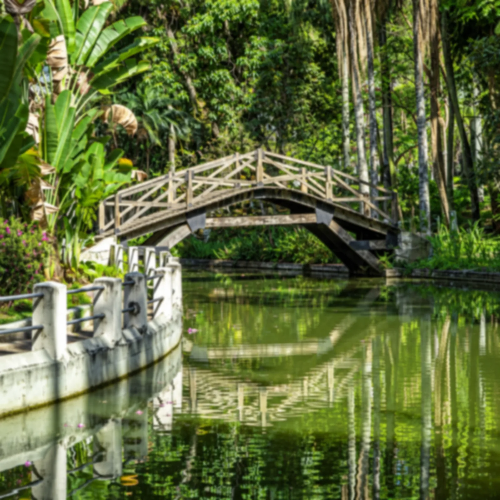 Lago e ponte do Parque Municipal Américo Renné Giannetti.
