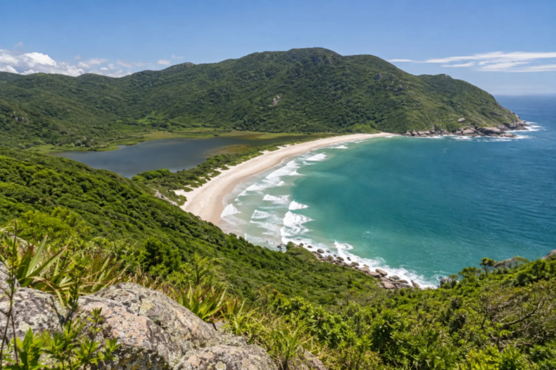 Praia deserta em forma de meia-lua vista de um mirante de trilha no alto do morro.