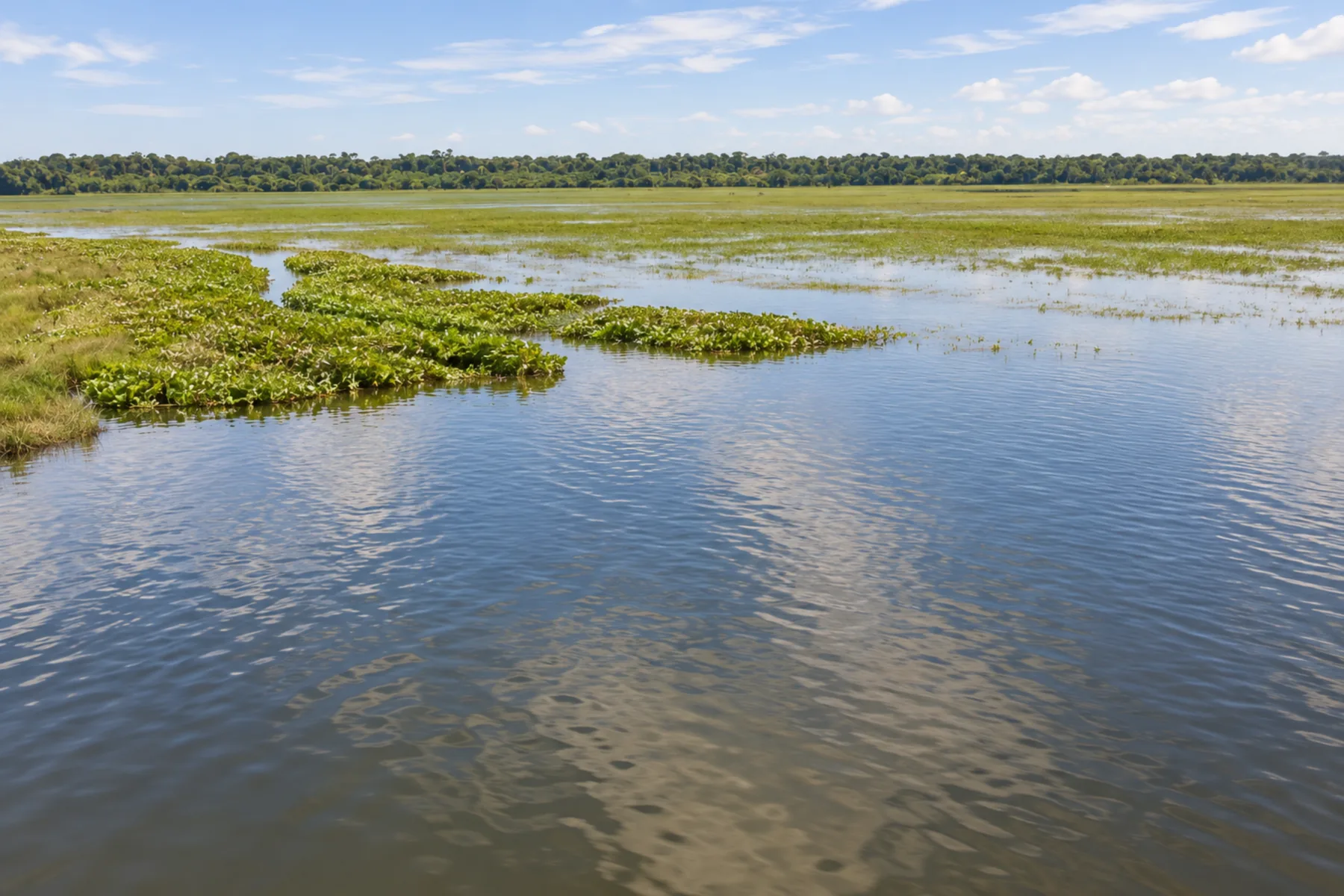 Paisagem alagada da Área de Proteção Ambiental do Curiaú.