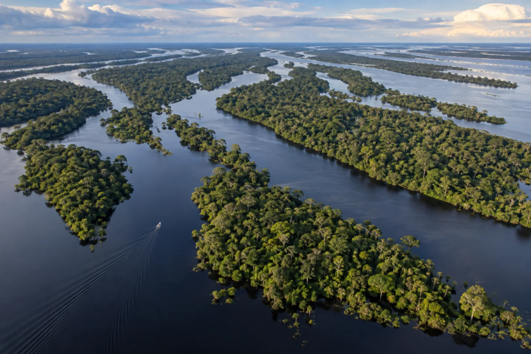 Ilhas de floresta e canais de águas escuras no arquipélago de Anavilhanas.