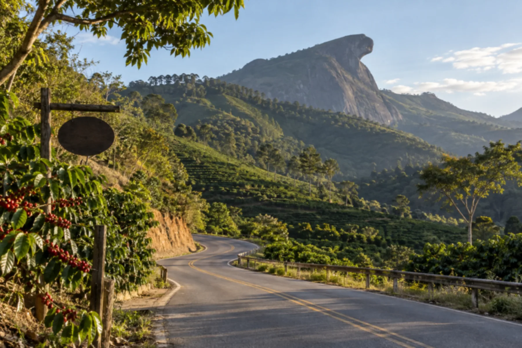 Estrada de montanha sinuosa entre plantações e mata.