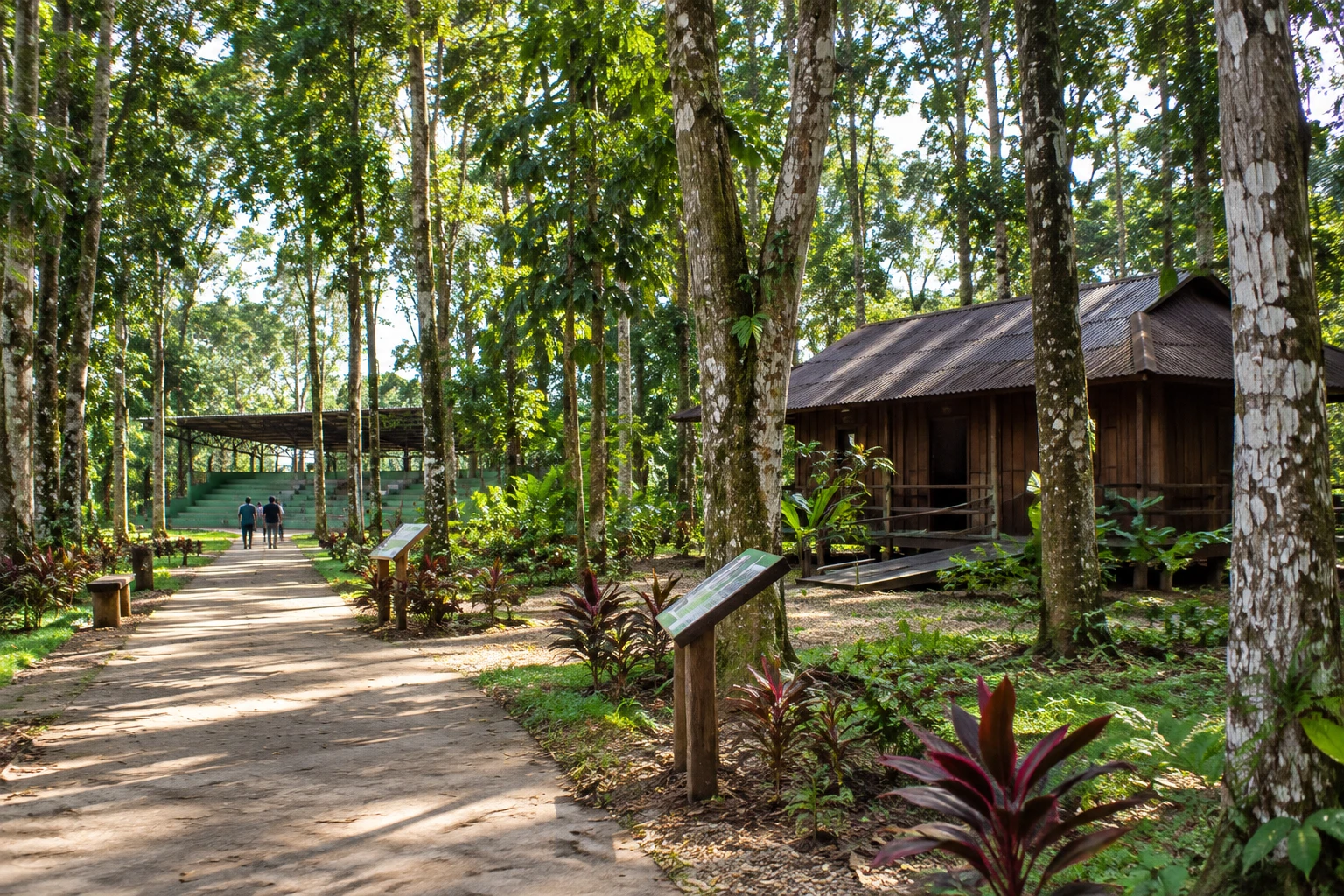 Museu Parque Seringal