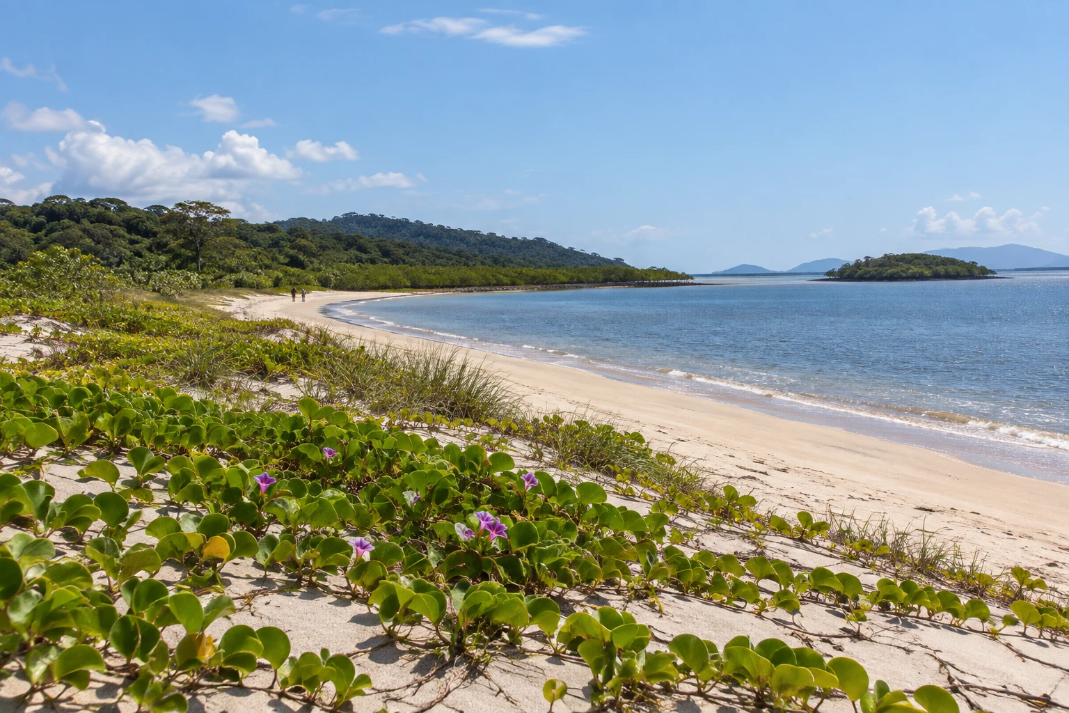Parque Nacional do Superagui