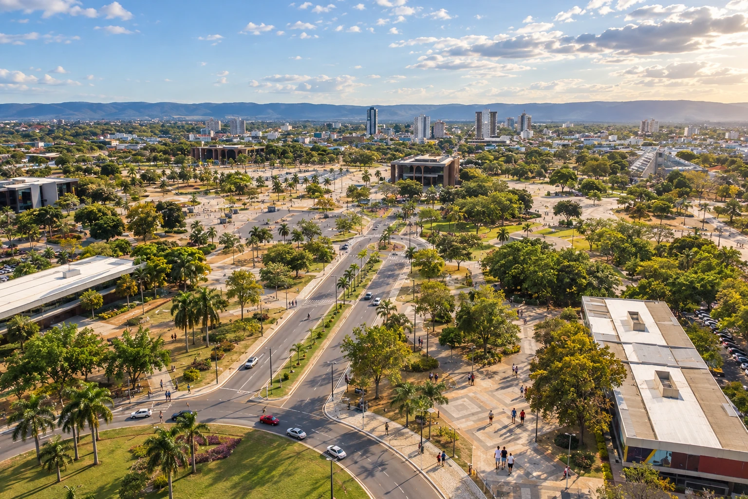 Palmas