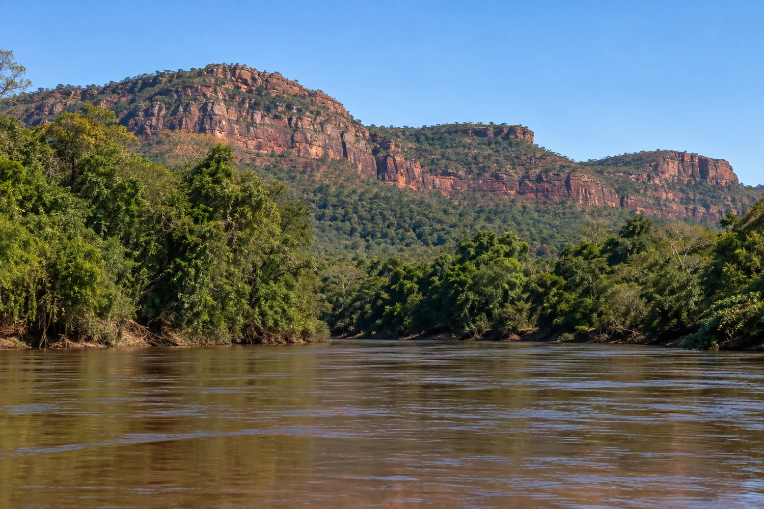 Piraputanga