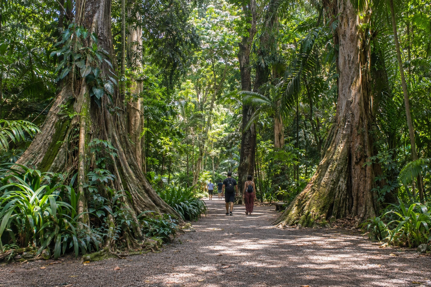 Museu Paraense Emílio Goeldi