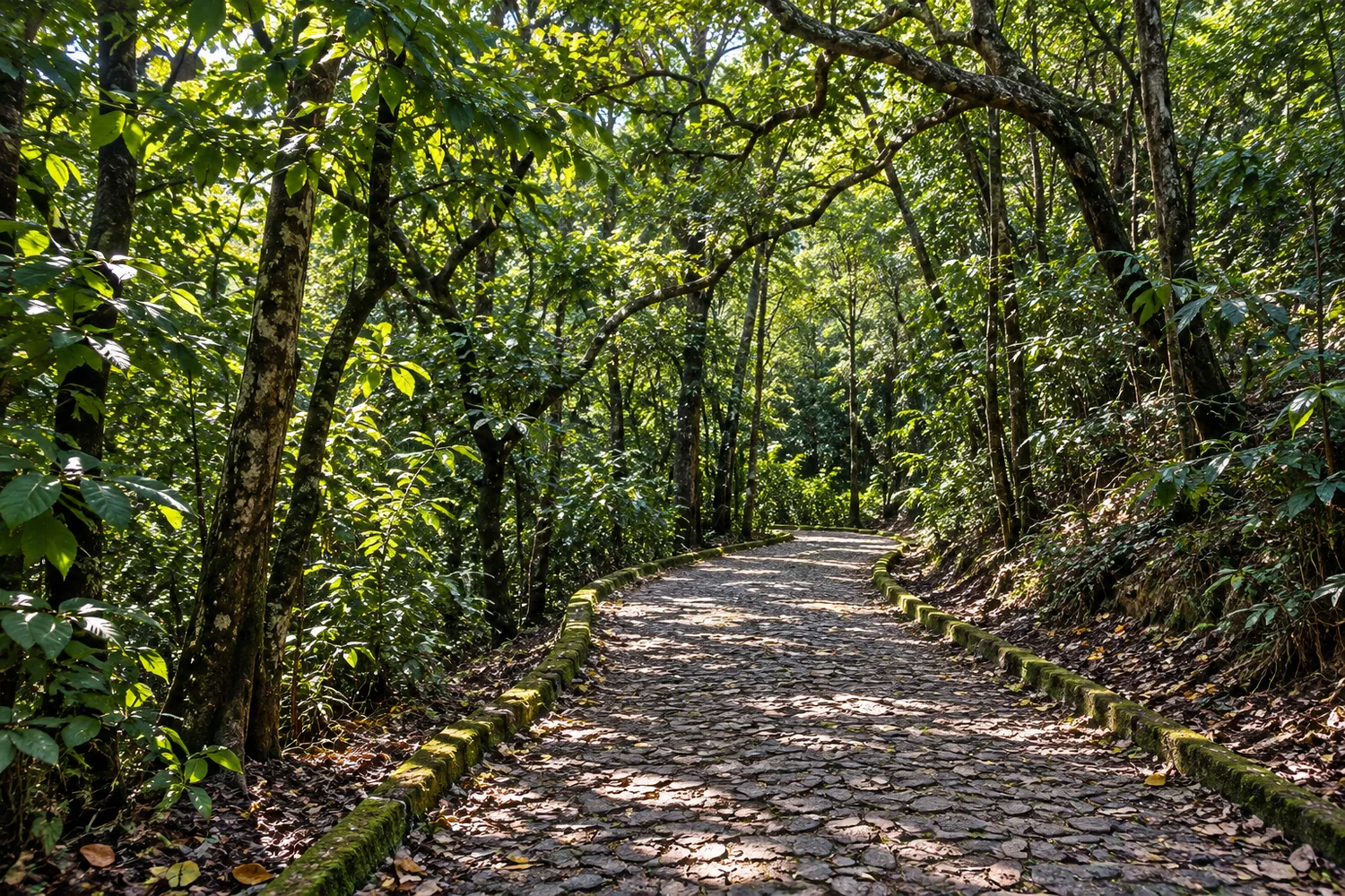 Parque das Mangabeiras