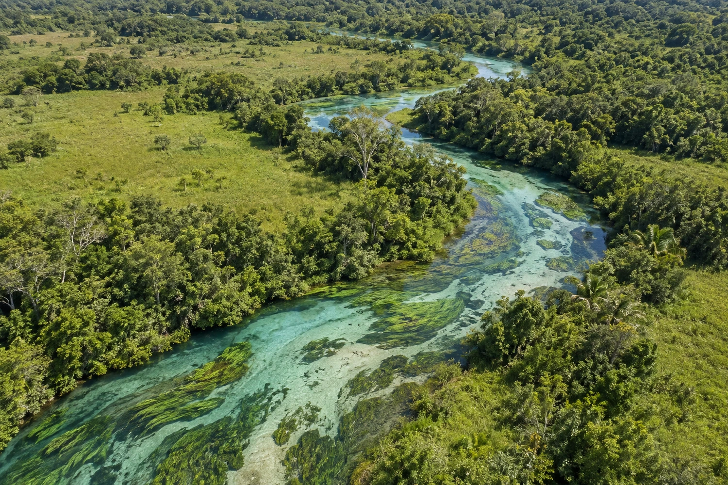 Rio Sucuri