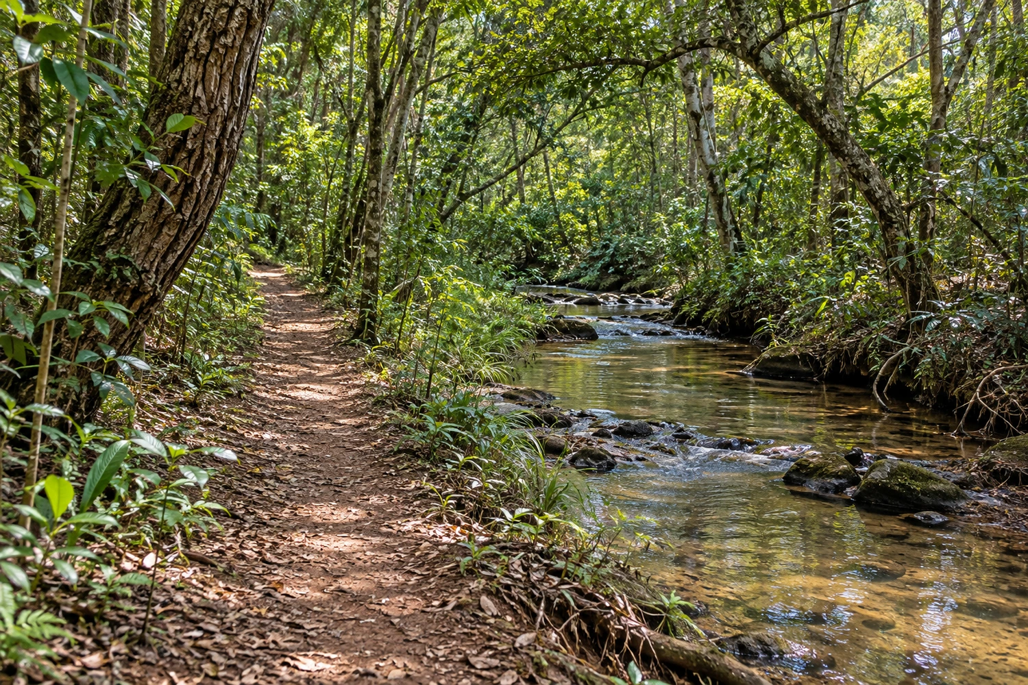Parque Estadual do Prosa