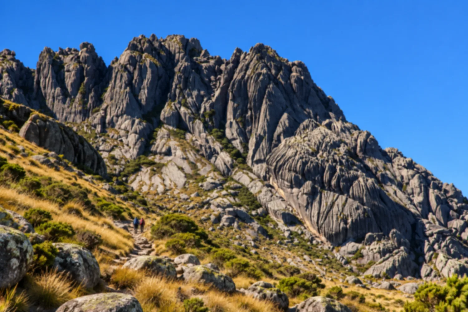 Pico das Agulhas Negras