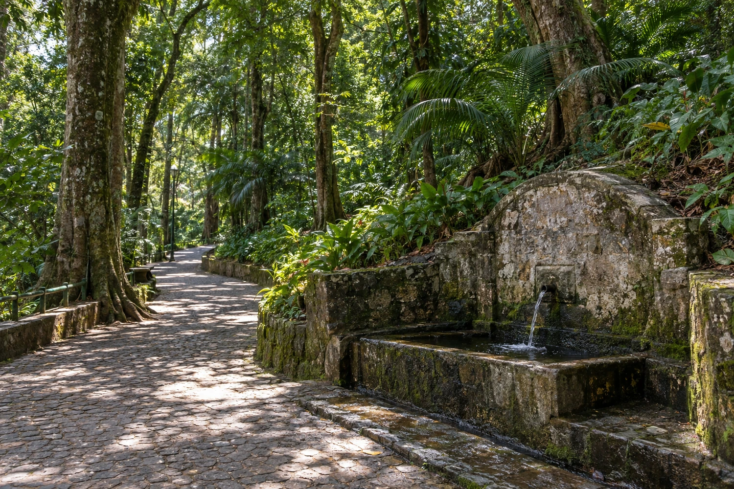 Parque Zoobotânico Arruda Câmara (Bica)