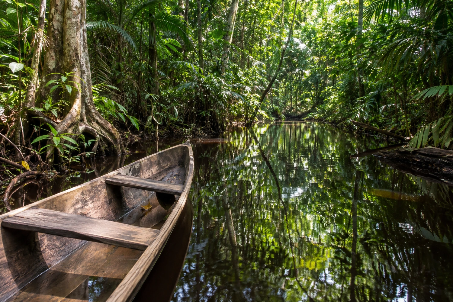Bioparque da Amazônia