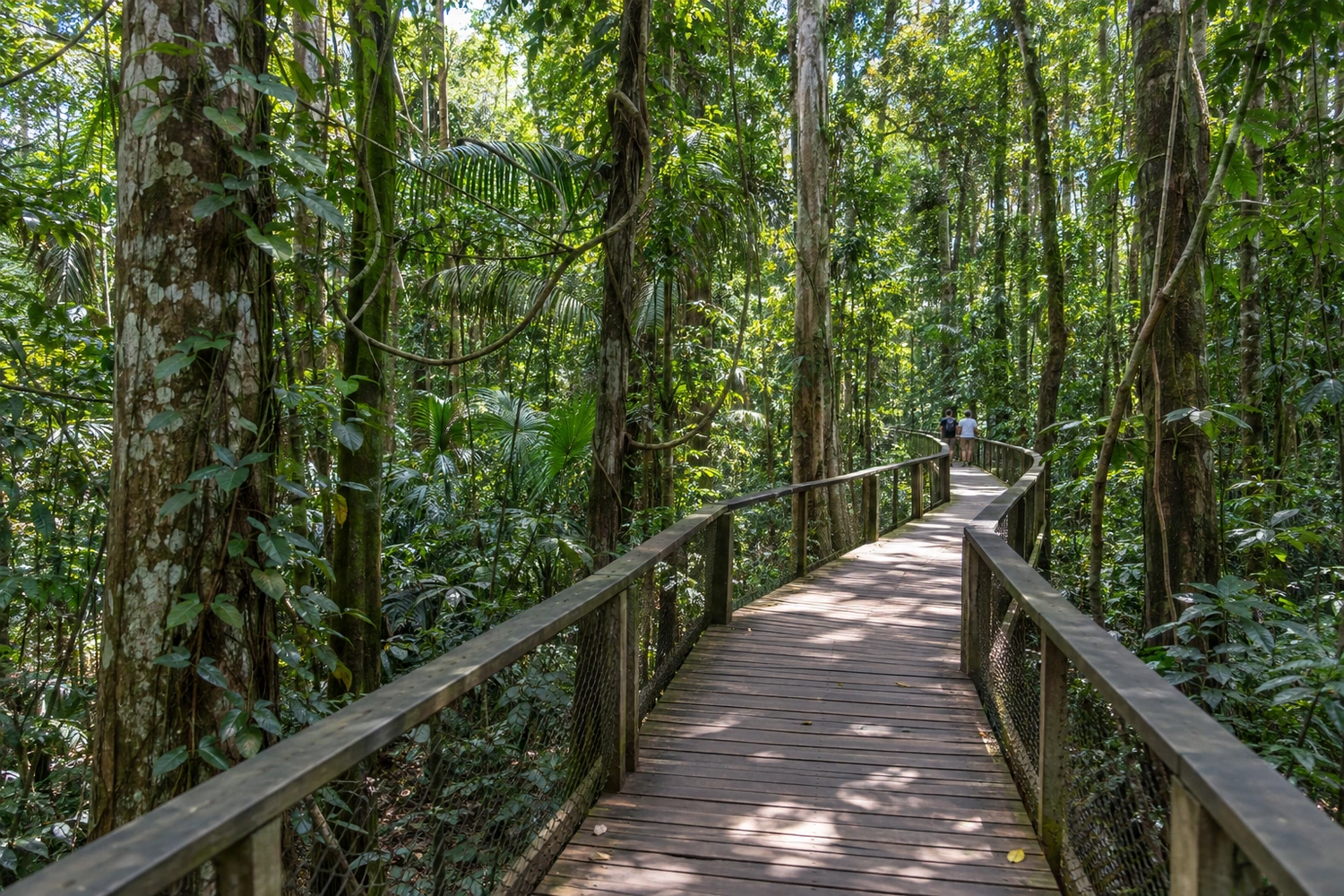 Bosque da Ciência (Inpa)