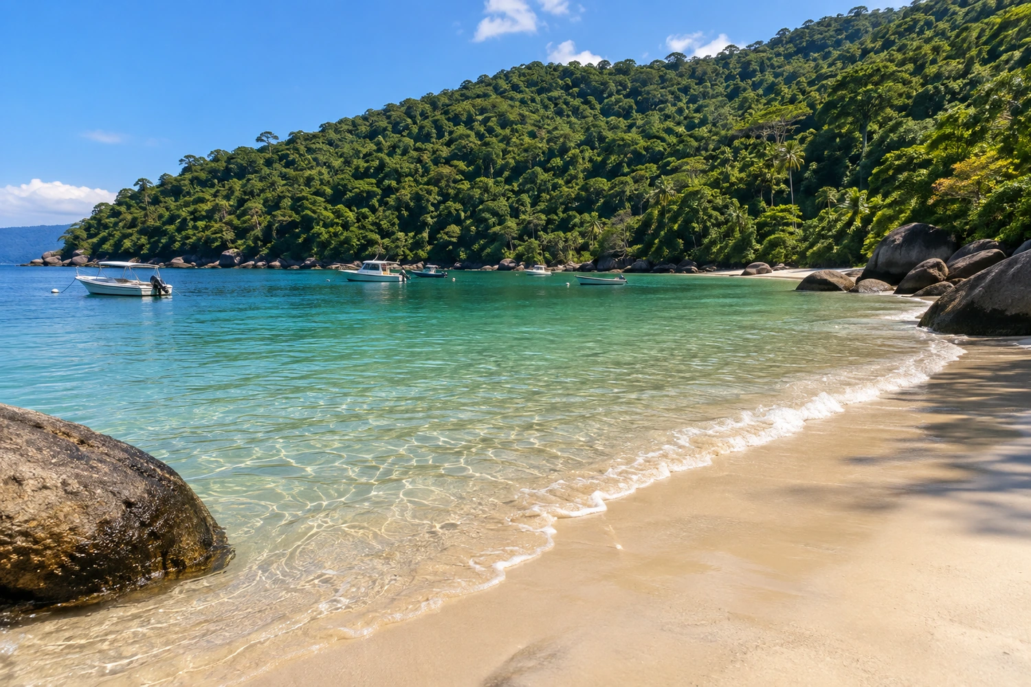 Ilha de Jaguanum