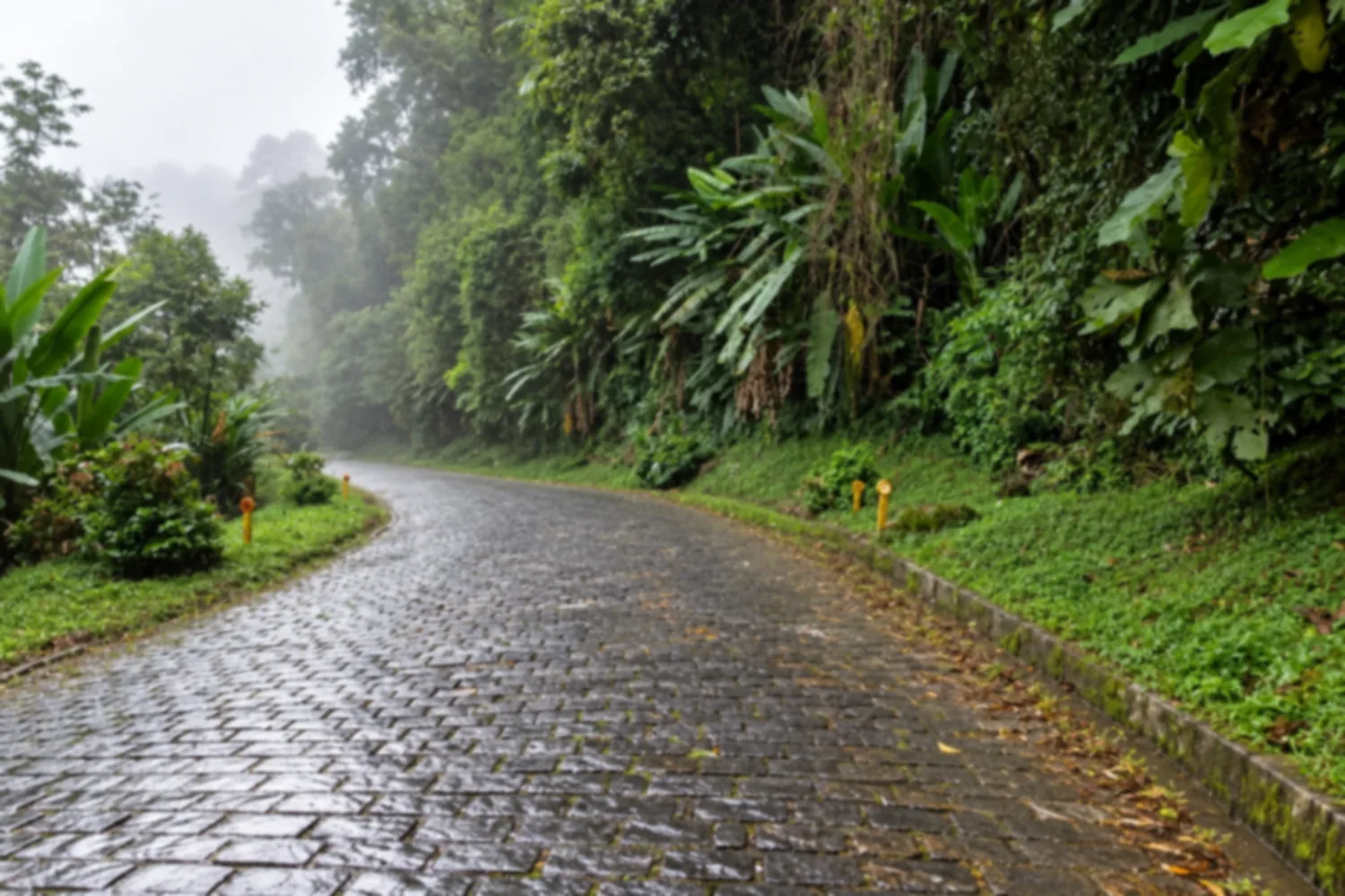 Estrada da Graciosa