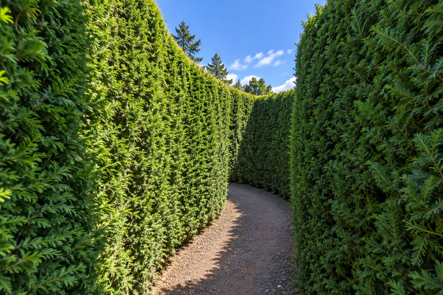 Labirinto Verde
