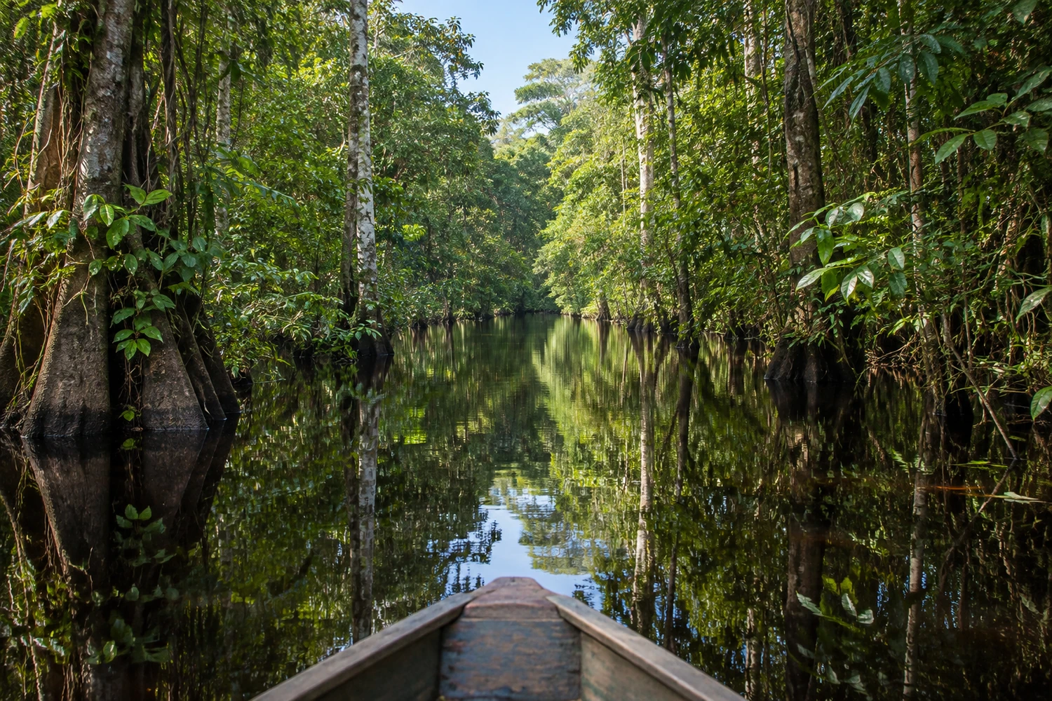 Parque Nacional de Anavilhanas