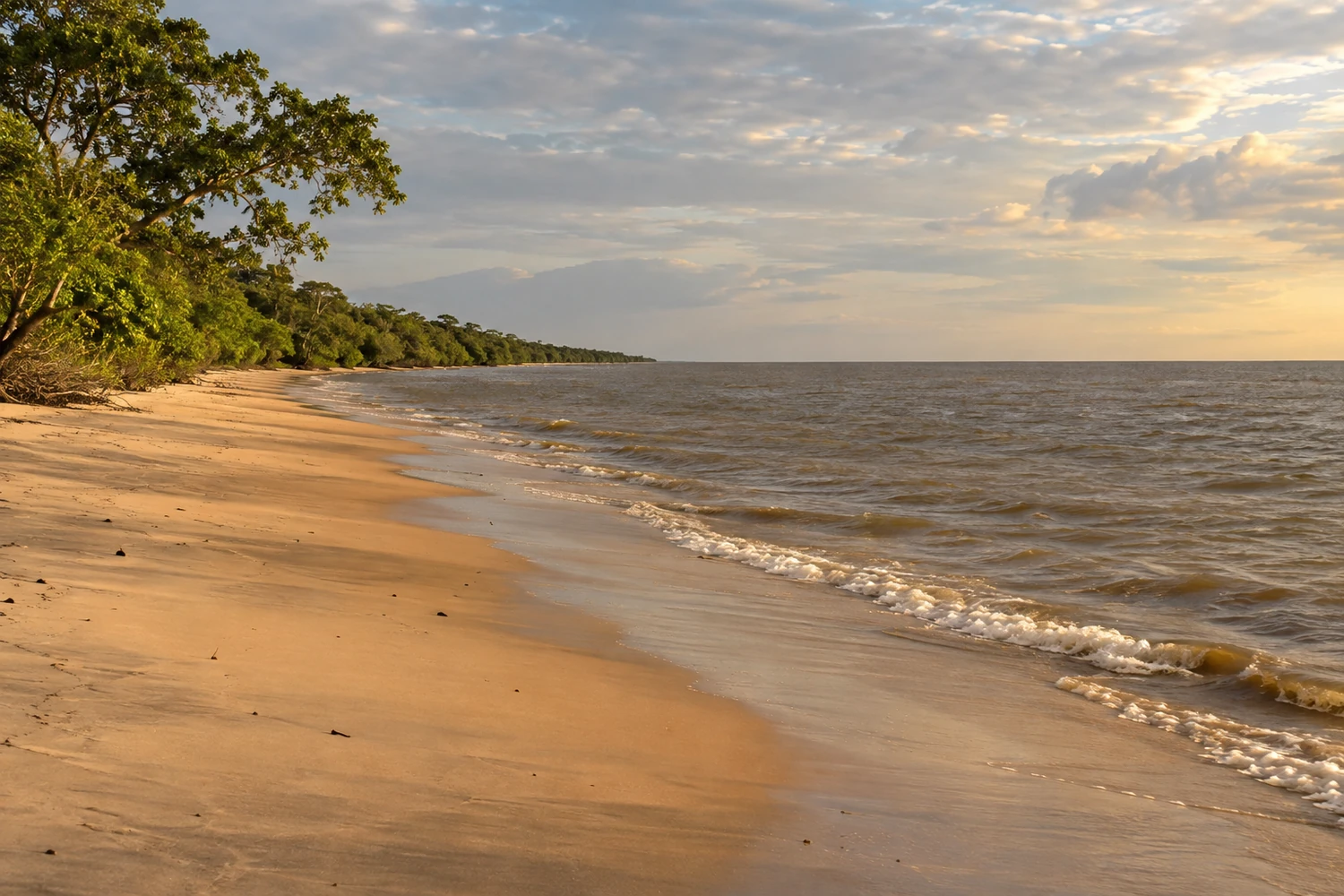 Praia Grande