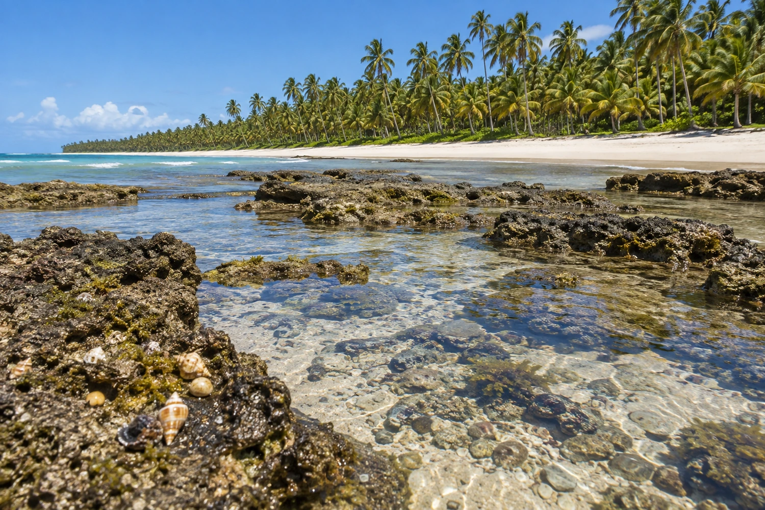 Praia do Patacho