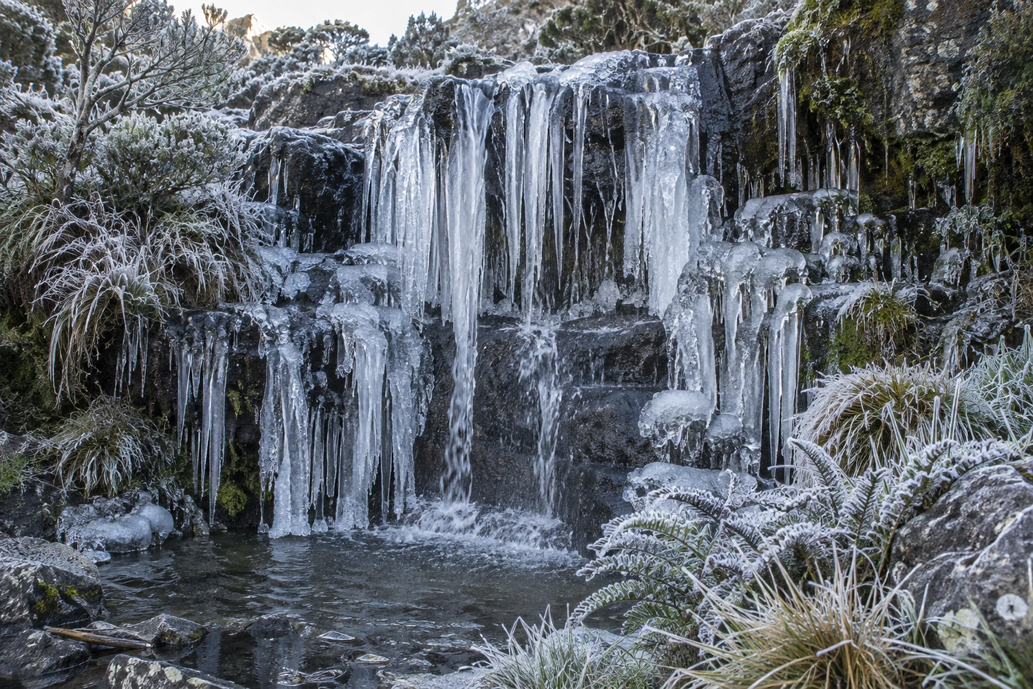 Cascata Congelada
