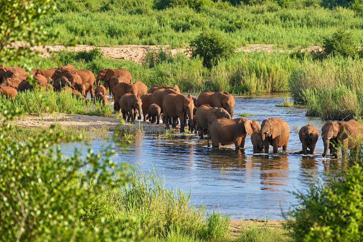 Parque Nacional Kruger, Mpumalanga