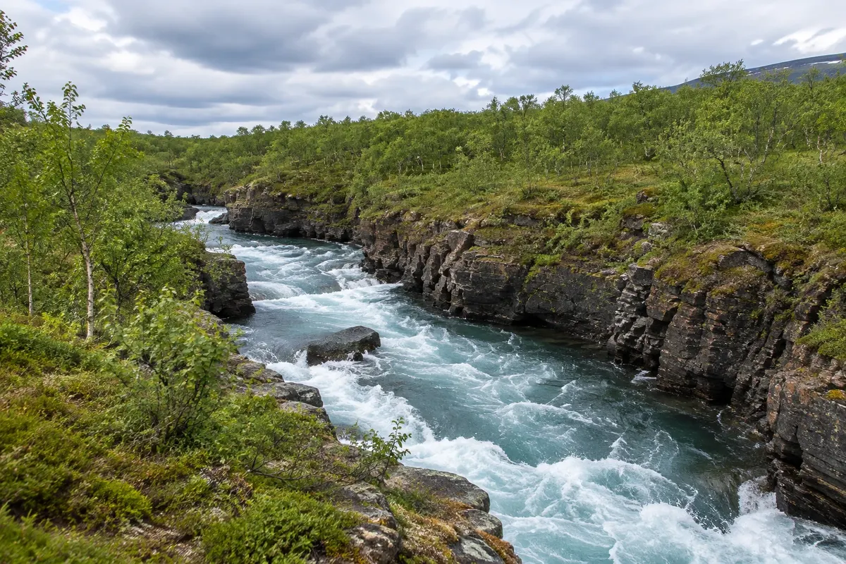 Abisko nationalpark