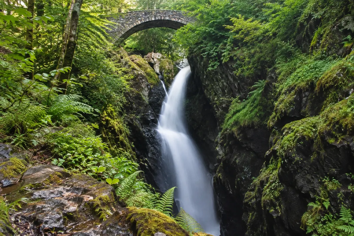 Aira Force
