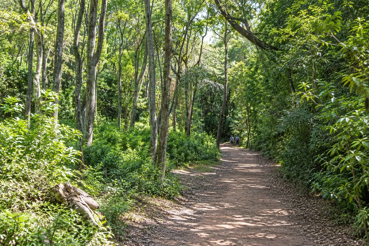 Arboretum Lussich