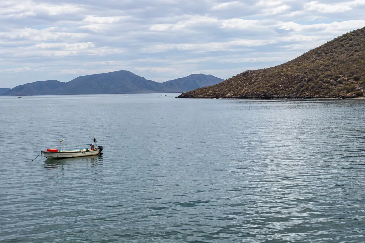 Bahía de Topolobampo
