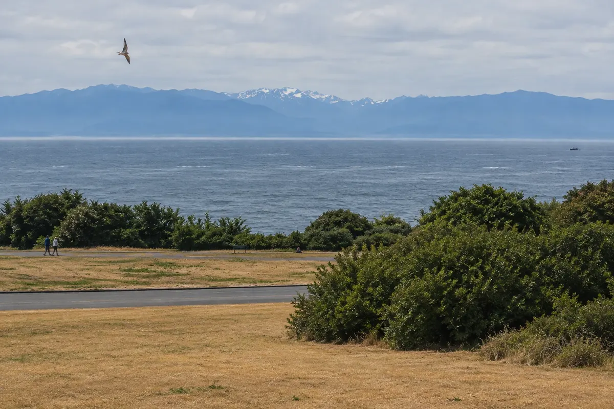 Beacon Hill Park