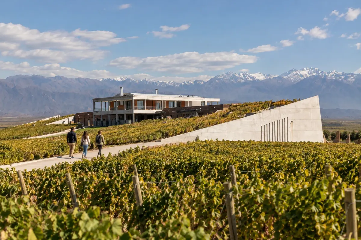 Bodega Monteviejo