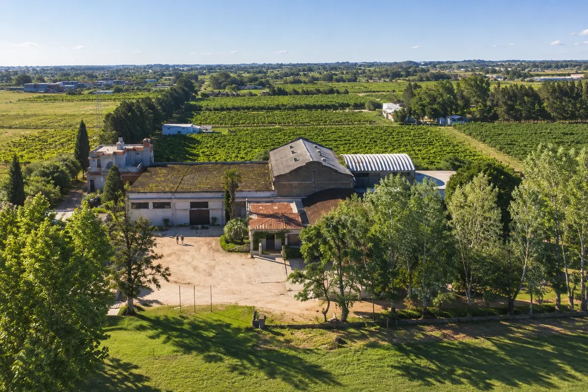 Bodegas Castillo Viejo