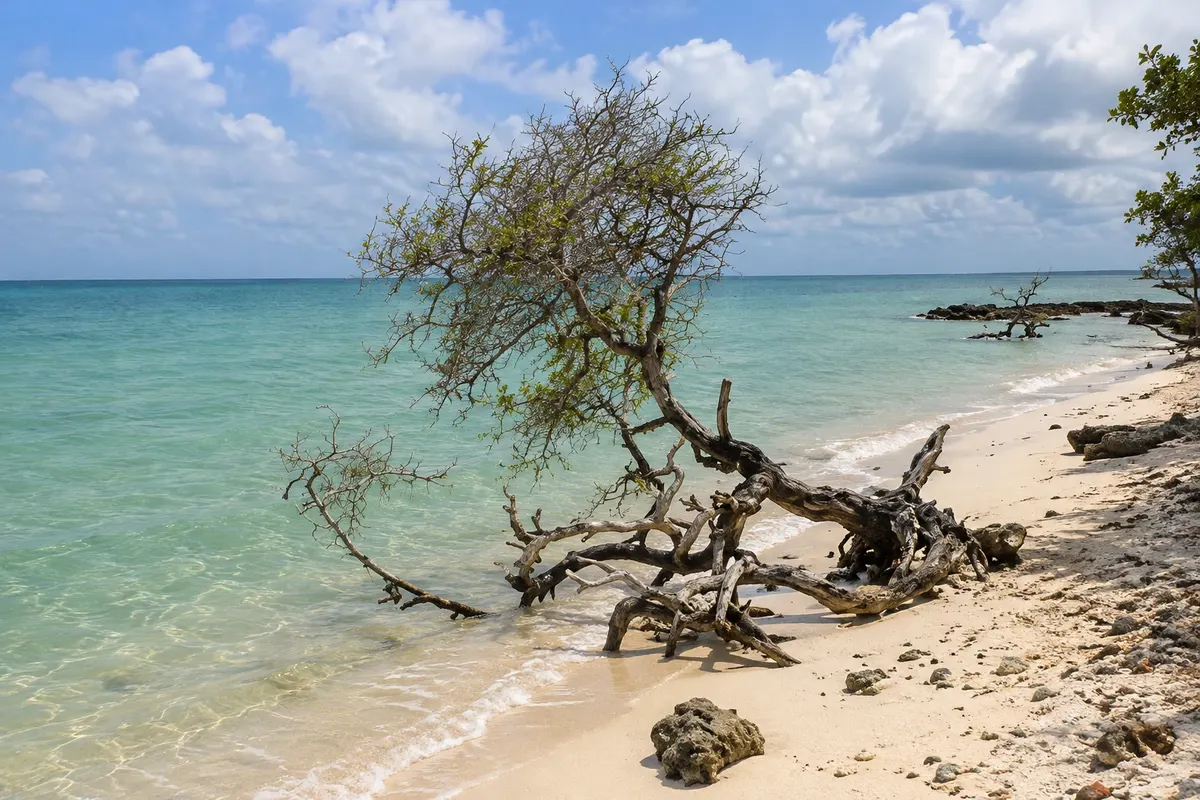 Cayo Punta Brava