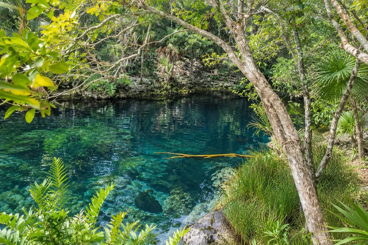 Cenote Jardín del Edén