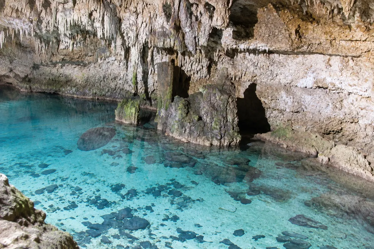 Cenotes Choo-Ha, Tamcach-Ha y Multun-Ha