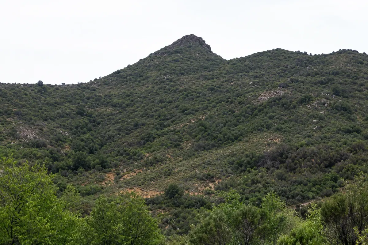 Cerro El Mauco