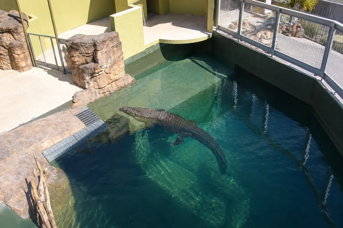 Crocosaurus Cove