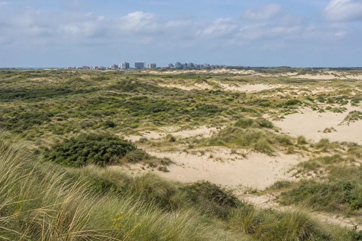 De Westhoek (reserva natural)