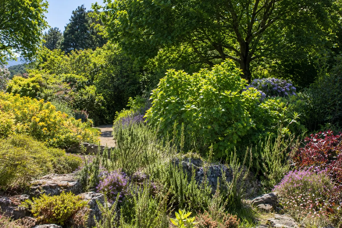 Everglades House and Gardens