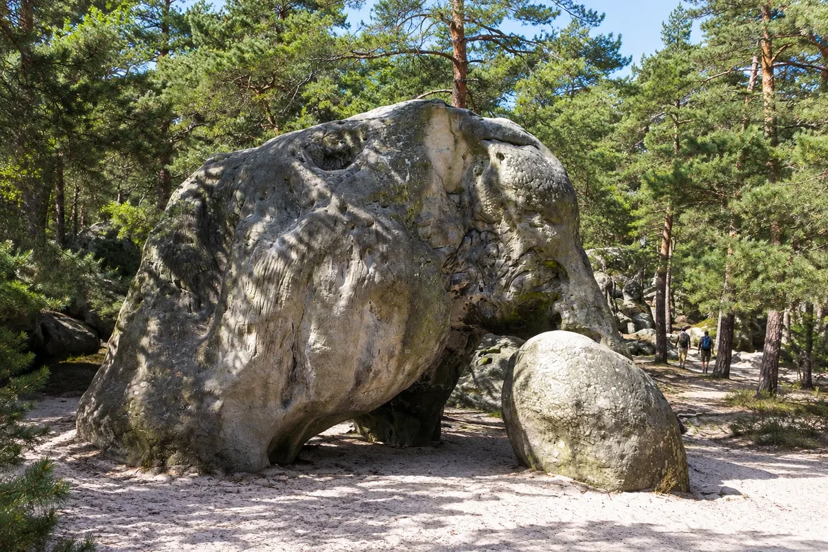 Forêt de Fontainebleau