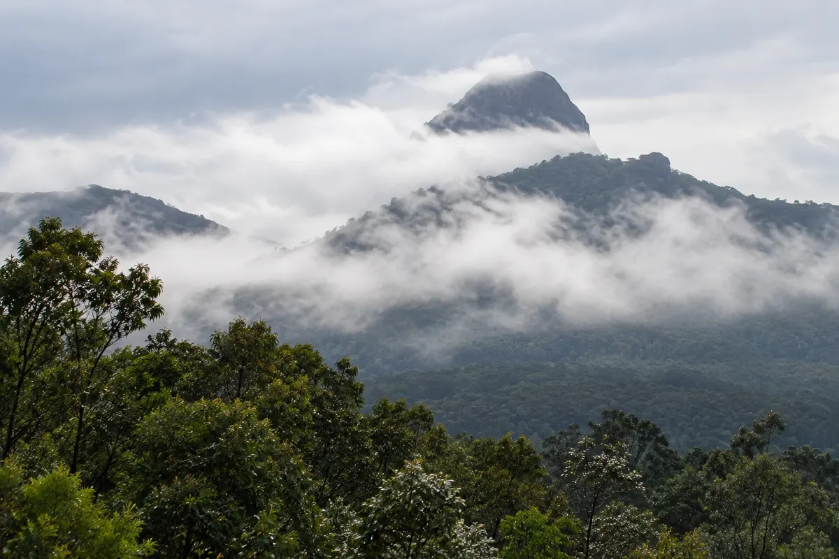 Glass House Mountains