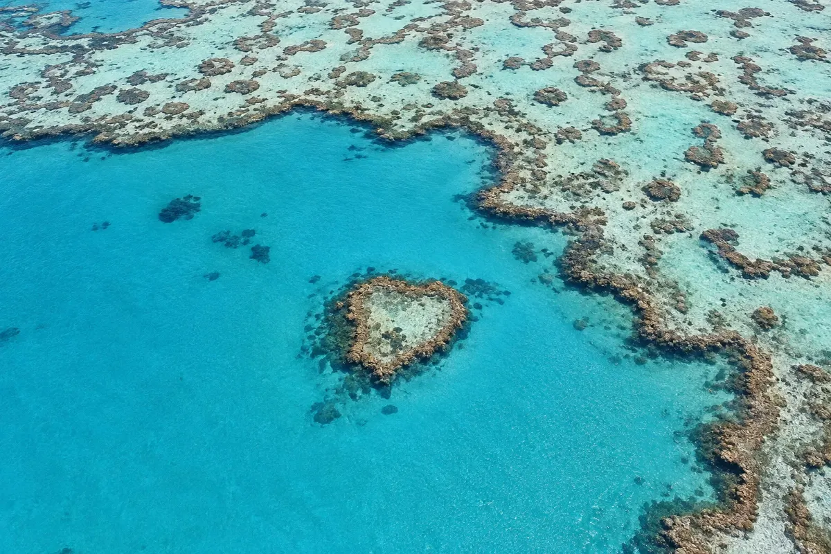 Heart Reef