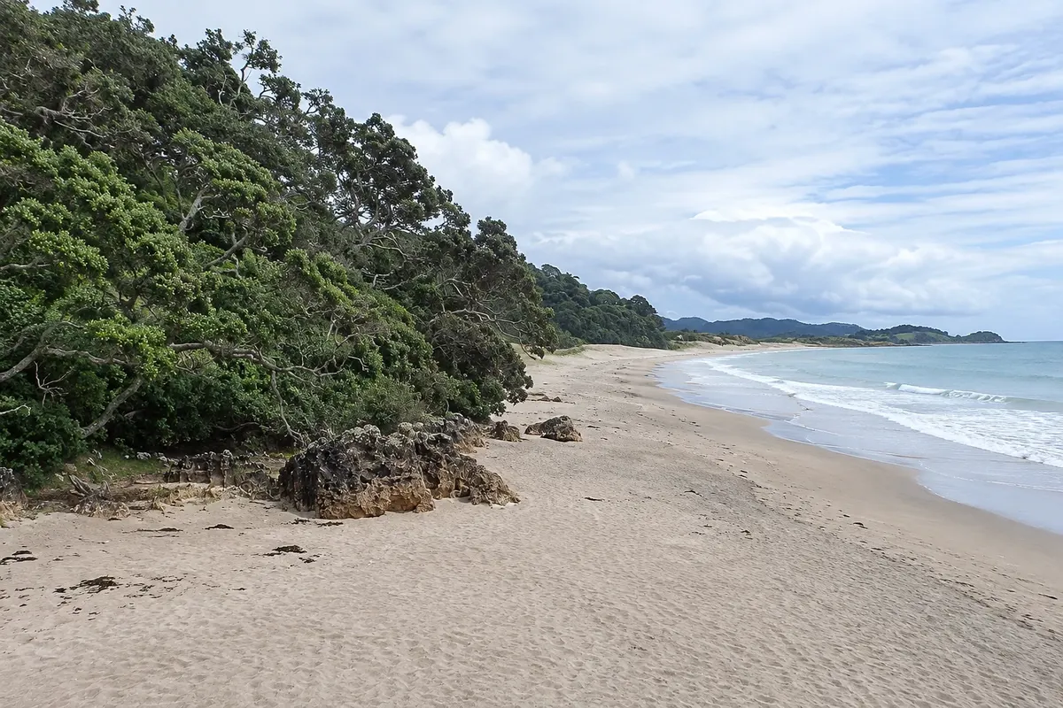 Hot Water Beach