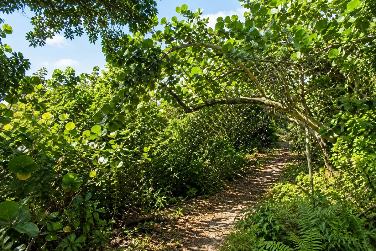 Hugh Taylor Birch State Park