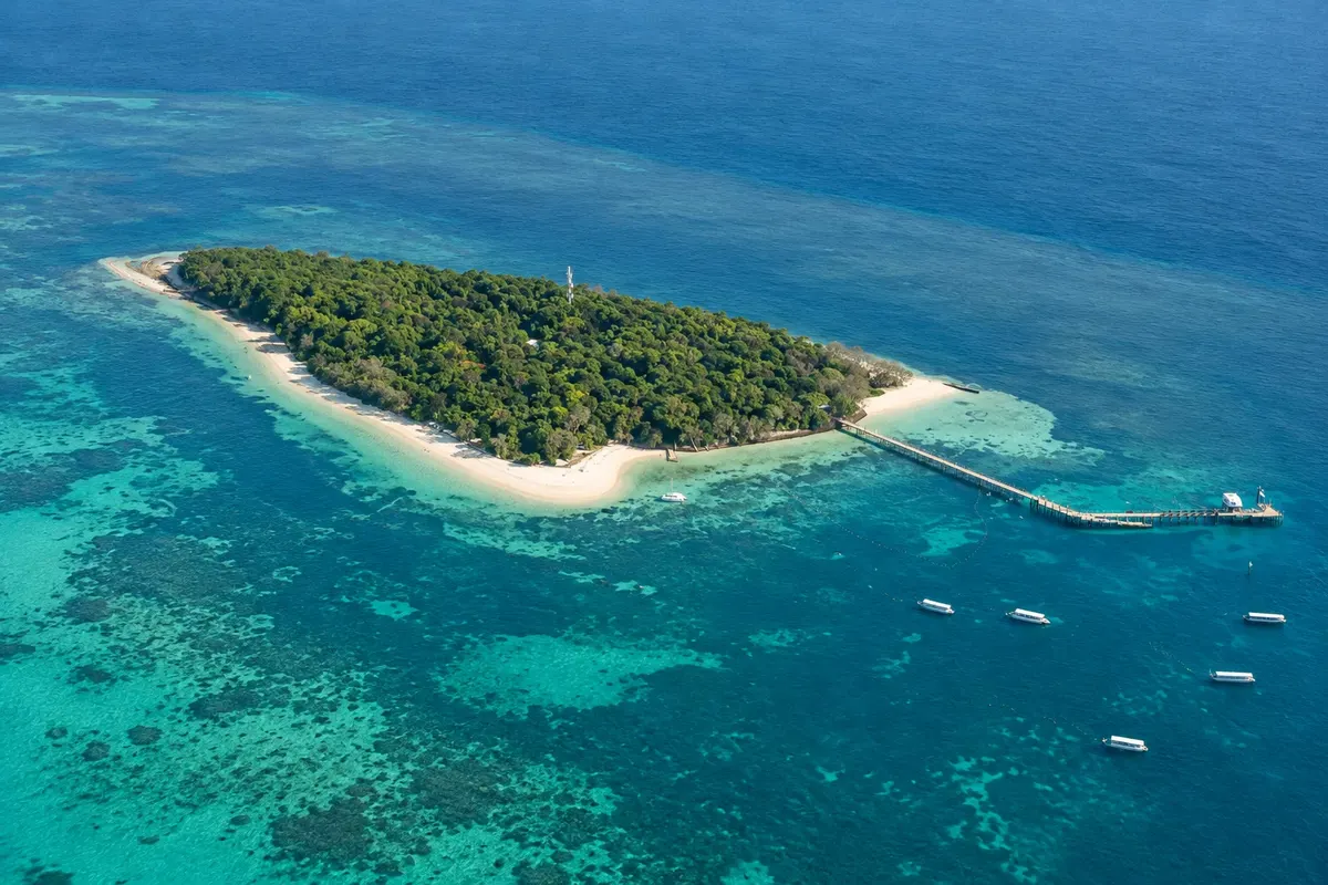 Ilha Green