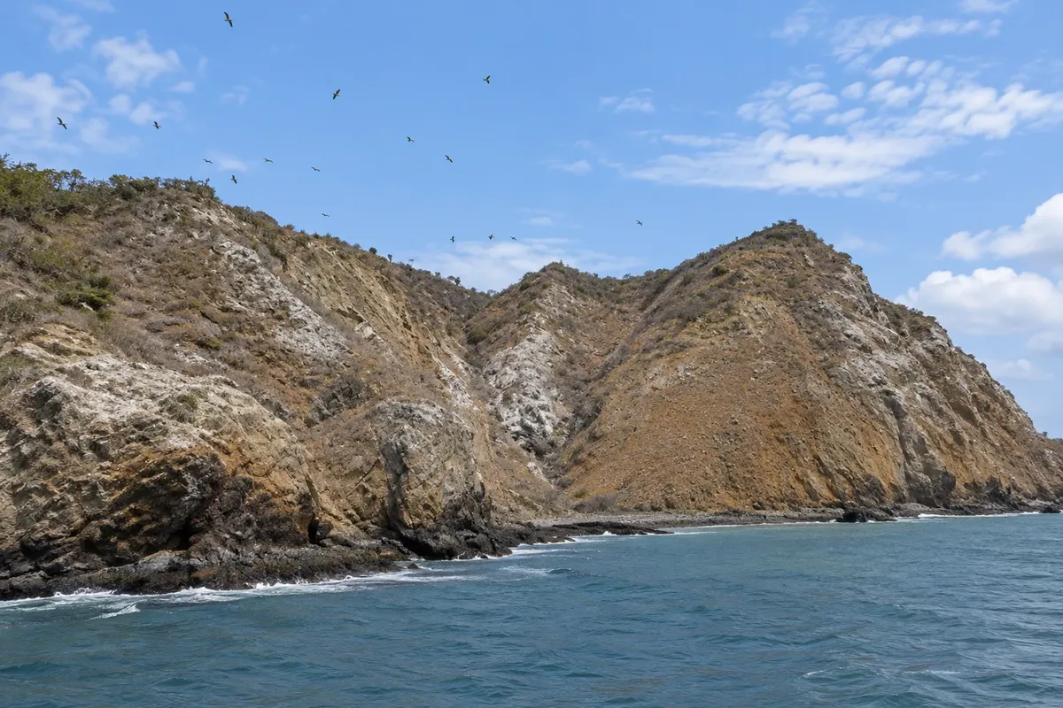 Isla de la Plata
