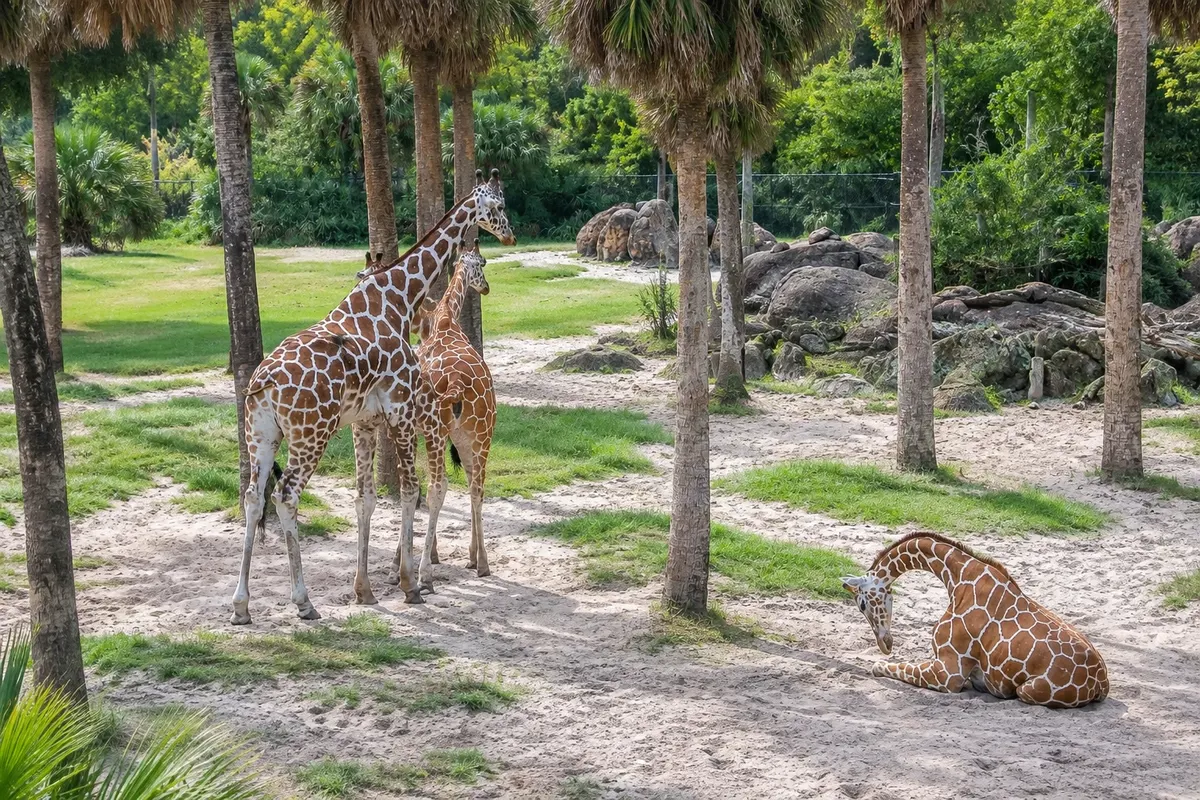 Jacksonville Zoo and Gardens