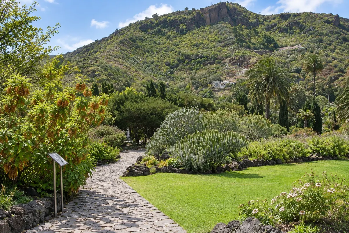 Jardín Botánico Canario Viera y Clavijo